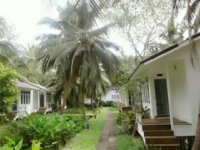 Tempat peranginan Young Coconut Garden 2*