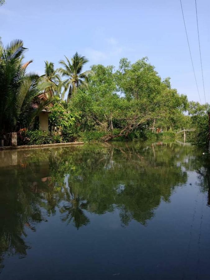 Young Coconut Garden Tempat peranginan