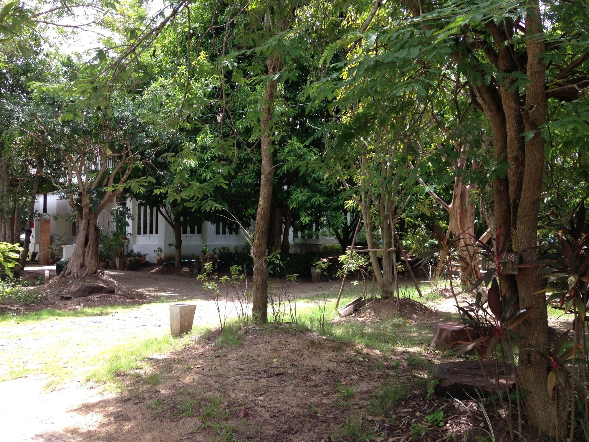 Tempat peranginan Young Coconut Garden Amphawa