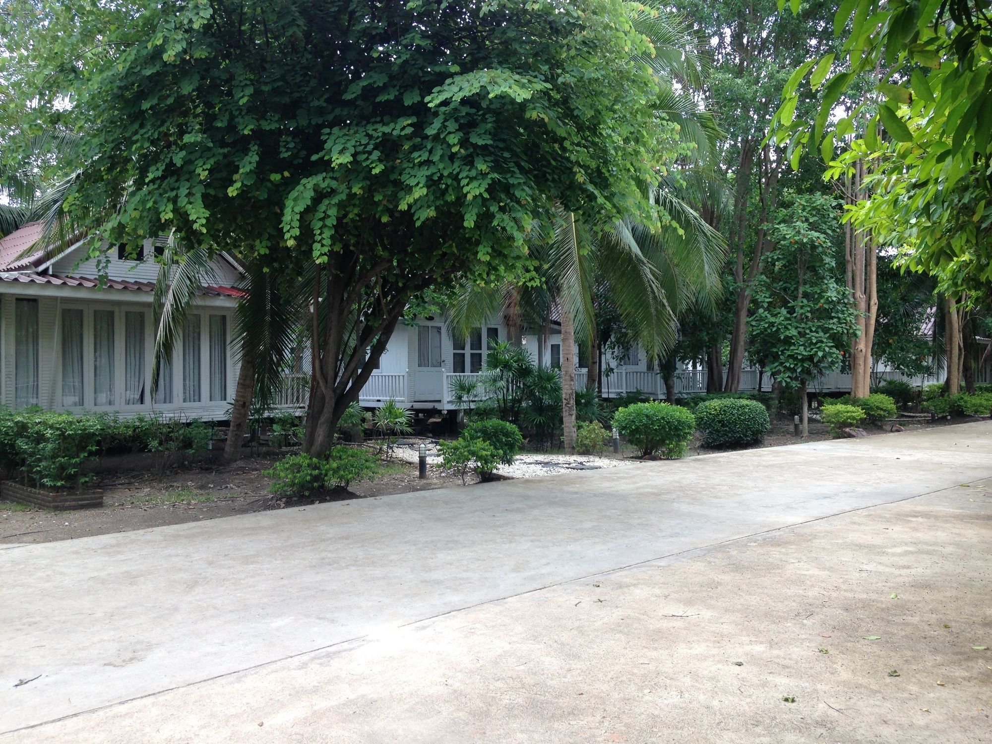 Young Coconut Garden Tempat peranginan 2*